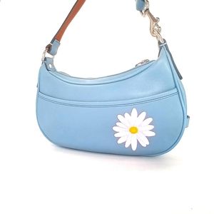 Small Coach Hand Painted